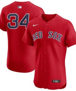 David Ortiz Boston Red Sox Nike Alternate Elite Player Jersey - Red