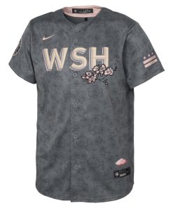 Alternative view of Washington Nationals Nike Youth 2022 City Connect Replica Jersey - Gray