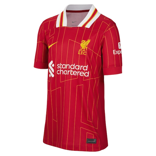 Virgil van Dijk Liverpool Nike Youth 2024/25 Home Replica Player Jersey?ยจC Red - Image 2