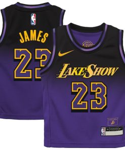 LeBron James Los Angeles Lakers Nike Preschool 2024/25 Swingman Player Jersey -  City Edition - Purple