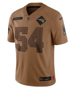 Alternative view of Tedy Bruschi New England Patriots Nike 2023 Salute To Service Retired Player Limited Jersey - Brown