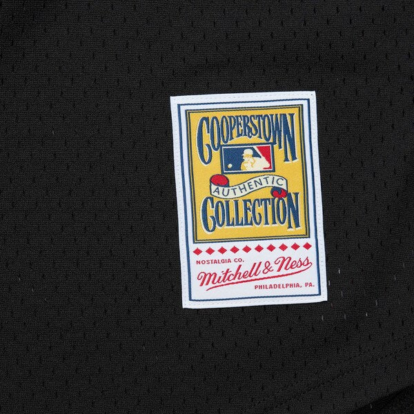 Craig Biggio Houston Astros Cooperstown Mesh Batting Practice Jersey - Black - Image 4