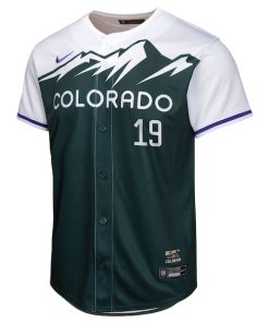 Alternative view of Charlie Blackmon Colorado Rockies Nike Youth City Connect Limited Player Jersey - Green